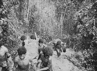 Battle of Efogi (Australian Army).