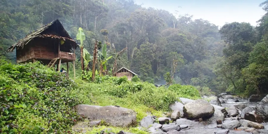 Kokoda Courage trekkers on the Kokoda Track — photo 27